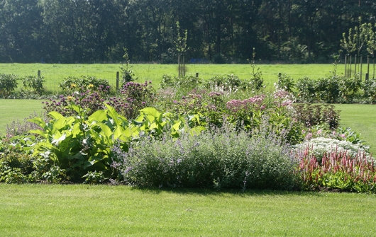 hoveniersbedrijf-g.weultjes-vaassen--tuinontwerp-aanleg-onderhoud--border-op-kleur