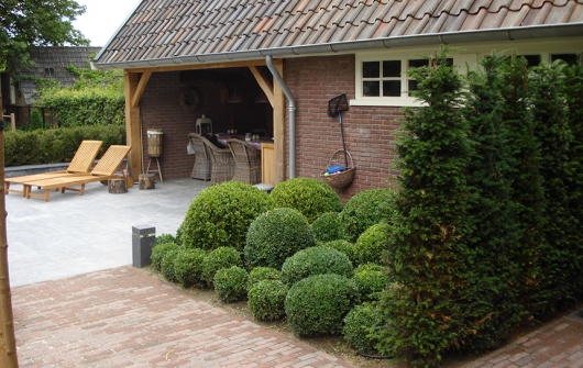 hoveniersbedrijf-g.weultjes-vaassen--tuinontwerp-aanleg-onderhoud--buxuswolk