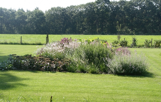 hoveniersbedrijf-g.weultjes-vaassen--tuinontwerp-aanleg-onderhoud--gazon-met-border-landschappelijk